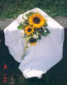 brautstr5