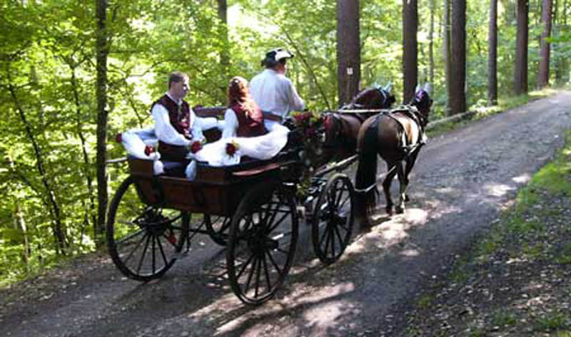 hochzeit5