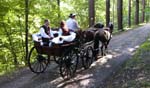 hochzeit5