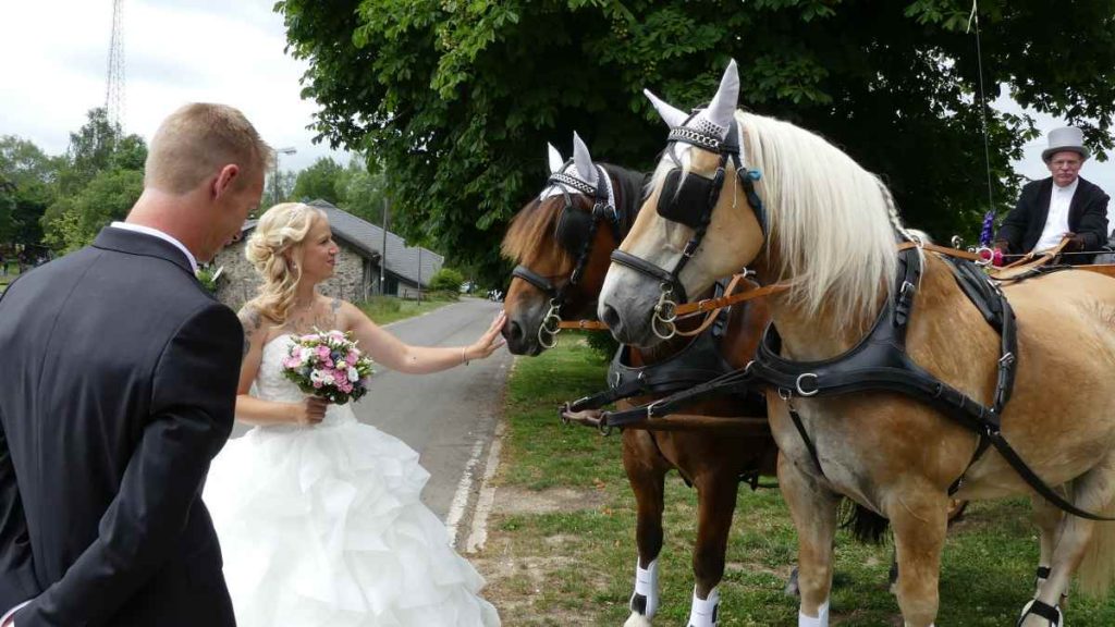 Braut und Bräutigam bei den Pferden