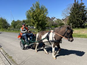 Erstes Mal eingespannt