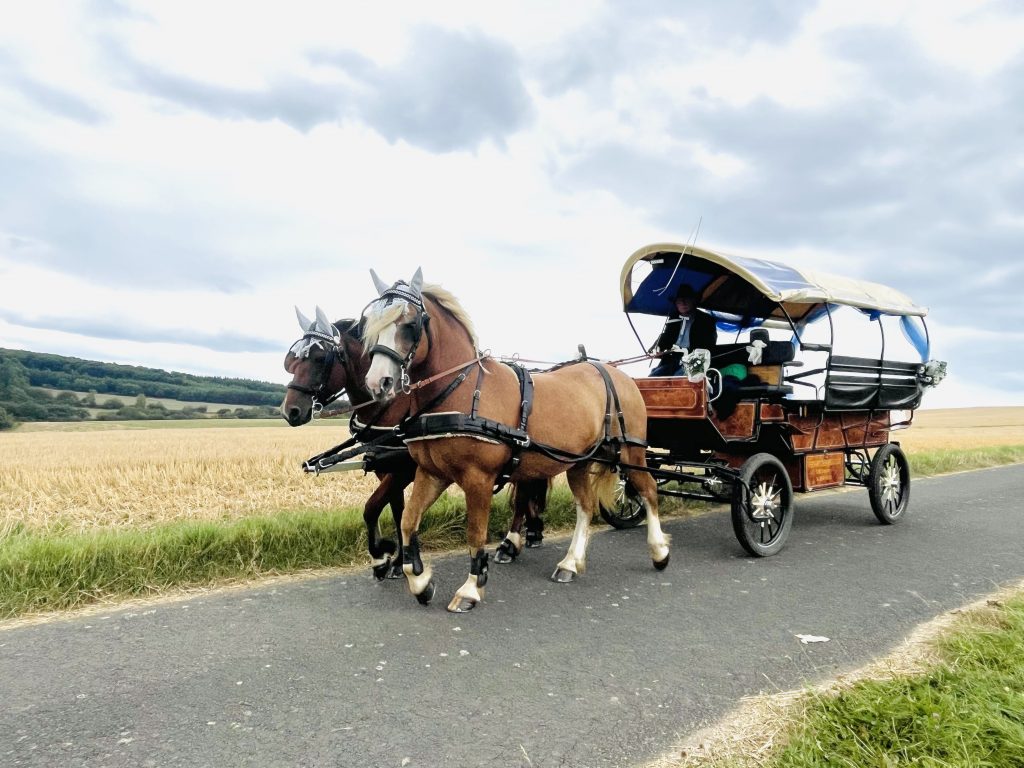 Das schöne Hochzeitsgespann