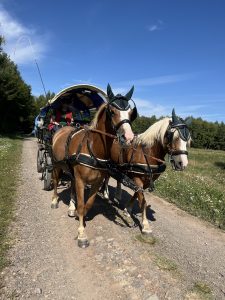 Theo und Max am Planwagen